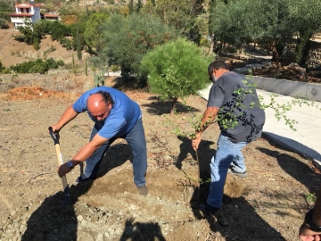 Δεντροφύτευση και Ανάπλαση Πρασίνου στο Χωριό μας!