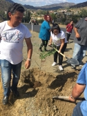 Δεντροφύτευση και Ανάπλαση Πρασίνου στο Χωριό μας!