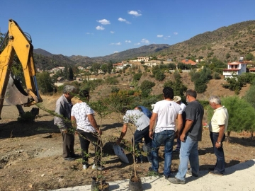 Δεντροφύτευση και Ανάπλαση Πρασίνου στο Χωριό μας!